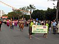 Mersin Citrus Festival 1