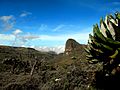 Mount Elgon-2