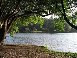 Mount Stewart lake