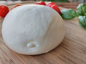 Mozzarella di bufala3