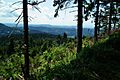 Naturpark Nordschwarzwald