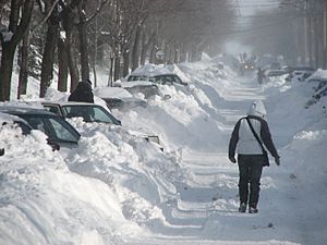 Neige Montreal