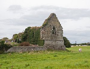 Nenagh Priory and Hospital of St. John the Baptist East Gable 2010 09 05