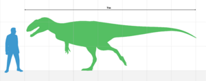 Neovenator Scale