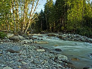 North Sauk River