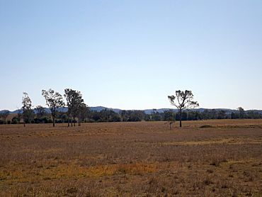 Paddocks Sheep Station Creek Queensland.jpg