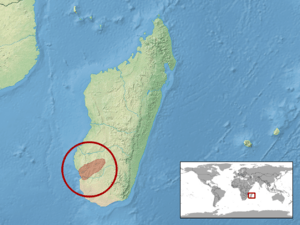 Phelsuma standingi distribution.png