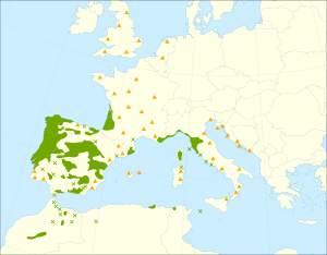 Pinus pinaster range.svg