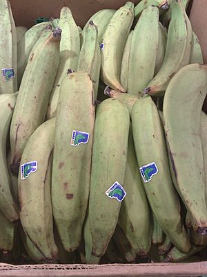 Plantains.jpg