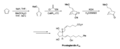 Prostaglandin Diels-Alder Corey