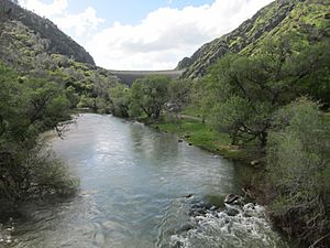 Putah Creek below dam