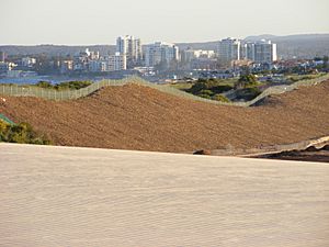 SandduneslookingtowardsCronulla,NewSouthWales