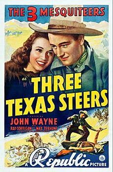 Three Texas Steers poster