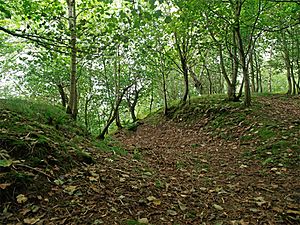 Walstale Dun - Defensive ditch