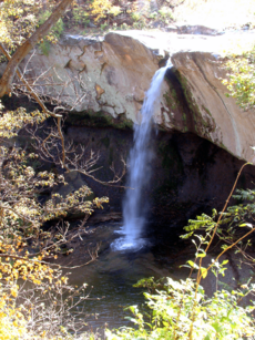 Williamsport Falls