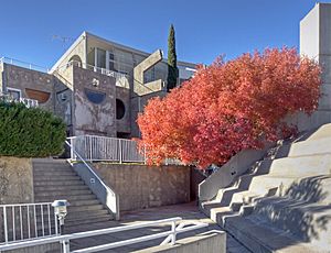 020 Arcosanti-Buildings & Fall Foliage 11-22-2011