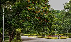 Bagh-e-Jinnah Lahore Pakistan