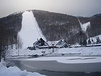 Bear Mountain Killington