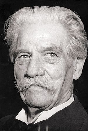 Bundesarchiv Bild 183-D0116-0041-019, Albert Schweitzer.jpg