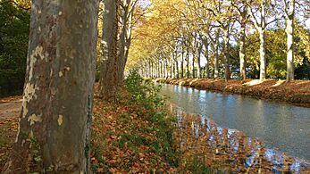 Canal du Midi Ramonville