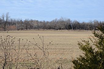 Cane Hill Battlefield.JPG