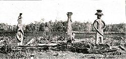 Cementerio Mapuche