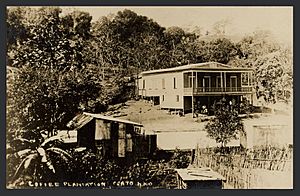 Coffee Plantation, Puerto Rico