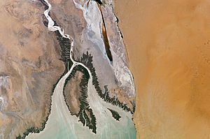 ColoradoRiverDelta ISS009-E-09839