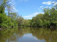 Des Plaines River Lake County Illinois.jpg