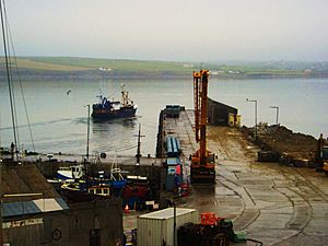 Fenit