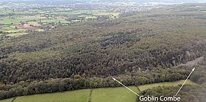 Goblin Combe 2