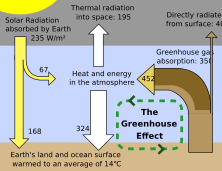 Greenhouse Effect