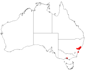 Hakea bakerianaDistMap11.png