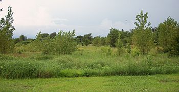 Humboldt, Iowa marshland