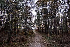 Huron National Forest Overlook