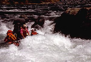 Illinois River Rafters