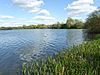 Kinewell Lake