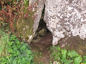 Knockeen Dolmen IMG 4728