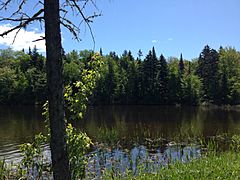 Lac des Roches, Québec 1