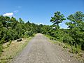 Lyman Viaduct, June 2021