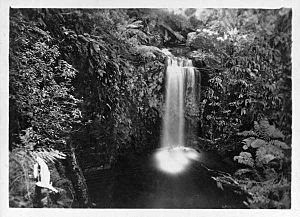 Marriner's Falls Apollo Bay