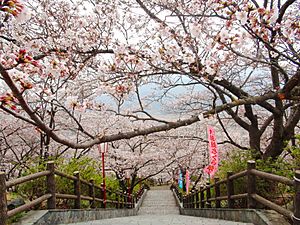 Oboshi Park in Fujikawa Town