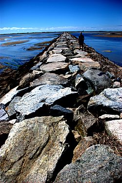 Provincetown Breakwater