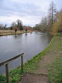 Picture of a stretch of river