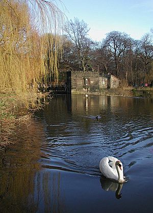 River Aire at Kirkstall Abbey