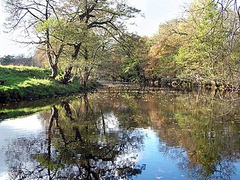 River Derwent near Hathersage.jpg