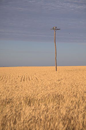 Rural Queensland