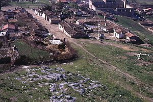 Selçuk village and Isa Bey mosque from the castle in 1970