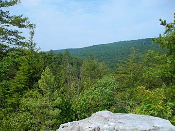 Sleepy Creek Mountain devils nose.JPG