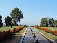 Srinagar - Nishat Gardens 12